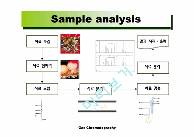 [공학] 가스 크로마토그래피(Gas Chromatography)에 관해서   (7 )
